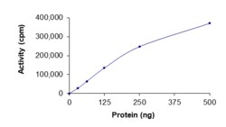 Sino Biological&nbsp;Recombinant Human TrkA Protein (A608D, GST Tag), Active